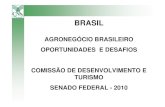 AGRONEGÓCIO BRASILEIRO OPORTUNIDADES E DESAFIOS … · oportunidades e desafios. comissÃo de desenvolvimento e turismo. senado federal - 2010 . objetivos • crescimento econÔmico