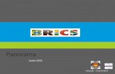 BRICS - fsindical.org.brDado sobre o Brasil refere -se à Reunião do Copom em 29/04 Taxa Selic –Meta. Entre 2014-2015 a taxa Selic subiu 3,75 p.p. Equivale a R$ 51 bilhões 1 p.p.