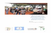 AMÉRICA LATINA - CELAM€¦ · Medellin, Fórum social temático, Sínodo Especial para a Amazônia, Fórum temático social em Johannesburgo (12 a 15 de novembro de 2018) e propostas