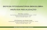 DEFESA FITOSSANITÁRIA BRASILEIRA: VISÃO DA FISCALIZAÇÃO SFA SP e SFA RS.pdf · Workshop Trânsito Internacional de Material de Propagação – Campinas-SP - Agosto/2011 rita.lourenco@agricultura.gov.br;