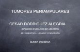 TUMORES PERIAMPULARES - Dr. César Rodriguezdrcesarrodriguez.com/pdf/tumor_periampulares_2.pdf · tumores periampulares cesar rodriguez alegria cirujano oncologo de abdomen ap. digestivo