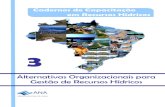Alternativas Organizacionais para Gestão de Recursos Hídricos · Todos os direitos reservados. É permitida a ... Figura 19 – Bacia do Paraná III, área de abrangência do Programa