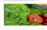 FEIRA DE ORGÂNICOS COMEÇA SÁBADO NA PRAÇA DOS … · A inauguração da feira de produtos orgânicos faz parte da programação da 2ª Semana da Agricultura Orgânica de São