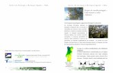 Centro de Ecologia e Biologia Vegetal - FCUL FCUL Bosques.pdf · O clima mediterrânico é caracterizado por um regime climático fortemente sazonal com duas estações bem marcadas