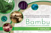 FORMAÇÃO DE NOVOS FACILITADORES PARA O INTERCÂMBIO … · FORMAÇÃO DE NOVOS FACILITADORES PARA O INTERCÂMBIO JAPÃO-BRASIL – Bambu: a revitalização de uma comunidade –