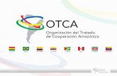 O papel da OTCA na sustentável da Amazônia€¦ · Promover o desenvolvimento sustentável ... o meio ambiente, e os efeitos adversos da mudança climática, entre outros. 3. Ter