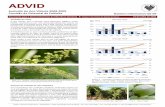 343o 2009 - Boletim Informativo) - ADVIDAssociação para o Desenvolvimento da Viticultura Duriense ••• “Cluster” dos Vinhos da Região do Douro 15 de Julho de 2009 Boletim
