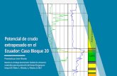 Potencial de crudo extrapesado en el Ecuador: Caso Bloque 20cigmipa.net/images/bibliotecaVirtual/docs/CIGMIPA... · Geología Estructura del campo Pungarayacu - Anticlinal/monoclinal