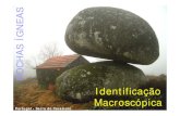 Identificação Macroscópica - ULisboa praticas... · 2018-12-09 · Classificação macroscópica de rochas ígneas Como atribuir o Nome à rocha ? 1. Determinar a Família a que