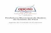 Prefeitura Municipal de Belém do Estado de Pará...si. Em outras palavras, a coesão dá-se quando, através de um pronome relativo, uma conjunção (NEXOS), ou um pronome oblíquo