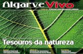 Biodiversidade - Algarve VivoBiodiversidade Ficha técnica Proprietário e Editor: PressRoma, Edição de Publicações Periódicas, Lda. Morada: Rua Direita, nº 13 8400-483 Porches
