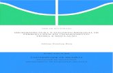 MICROESTRUTURA E MAGNETO-REOLOGIA DE FERROFLUIDOS … · 2019-01-07 · tese de doutorado microestrutura e magneto-reologia de ferrofluidos em cisalhamento: teoria e simulaÇÃo adrianopossebonrosa