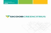 Home - Sicoob Credicitrus · 2020-03-03 · do R$ 606 milhões. (Detalhes nas páginas 16 a 22) Segurança e solidez A Credicitrus obteve um importante avanço em sua classificação
