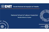 National School of Labour Inspection · Escola Nacional da Inspeção do Trabalho ‐ENIT COURSES AND PROGRAMS 2017 – 2019: Main Framework - Program on the FGTS Contribution The