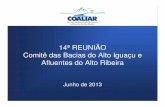 14ª REUNIÃO Comitê das Bacias do Alto Iguaçu e Afluentes ......Comitê das Bacias do Alto Iguaçu e Afluentes do Alto Ribeira PAUTA • 1. Abertura • 2. Posse dos membros - 4º
