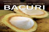 AGRONOMIA E ECOLOGIA fruta amazônica em ascensão BACURIainfo.cnptia.embrapa.br/digital/bitstream/item/... · grafada como “pacuri”, é a seguinte: “O pacuri é uma árvo-re