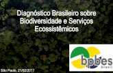Diagnóstico Brasileiro sobre Biodiversidade e Serviços ... · 3) Diagnóstico BSE e a sua relação com o bem-estar humano. PRINCÍPIOS: 1) Propositivo e crítico, mas não prescriptivo.