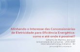 Alinhando o interesse das concessionárias de eletricidade: como …jannuzzi/documents/USP23-07-07.pdf · •Recuperação de custos de PEE •Alternativas •Agencias públicas para