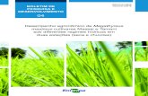 BOLETIM PESQUISA - 04 · 2019-06-05 · 10 BOLETIM DE PESQUISA 04 De posse dos resultados da análise de solo, procederam-se as corre-ções para fósforo (15 mg dm-3) e micronutrientes