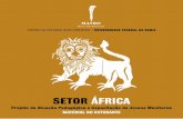 SETOR ÁFRICA - Museu Afro-Brasileiro · turas, máscaras, tecidos, cerâmicas, adornos, instrumen- ... canos e afro-descendentes a partir das peças do acervo do museu, contrapondo-se