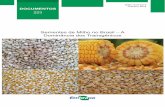 Sementes de Milho no Brasil - Infoteca-e: Página inicial...Tabela 1. Área, produção e produtividade de milho primeira safra, segunda safra e total na região Centro-Sul, no Brasil