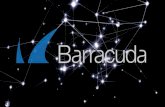 Barracuda Overview - esy.com.br...Microsoft Azure vWAN Advanced Bot Protection Integration. DR Site / MSP Data protection & archiving solution overview Workstatio n Tape Backu p vSphere