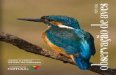 observação de aves · vindas do continente americano. a observação de aves em portugal é ainda facilitada pela dimensão relativamente pequena do território, pela qualidade