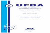 UNIVERSIDADE FEDERAL DA BAHIA - Ufba · universidade federal da bahia escolapolitÉcnica programa de pÓs graduaÇÃo em engenharia industrial - pei mestrado em engenharia industrial