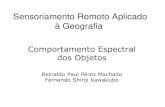 Sensoriamento Remoto Aplicado à Geografia...Sensoriamento Remoto Aplicado à Geografia Prof. Dr. Reinaldo Paul Pérez Machado Comportamento Espectral dos Objetos Reinaldo Paul Pérez