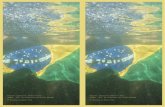 Projecto: Brasileiros Embaixo D 'Agua Imagem: 'LUTO' Em ... · Entendendo FAKE NEWS Toda informaçäo tern verdades, interesses, e opiniöes por traz. Passamos metade dos nossos dias