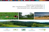 Oportunidades de restauración del paisaje forestal en ...portal.inab.gob.gt/images/publicaciones/guatemala_oportunidades_d… · Paisaje Forestal para Guatemala (ROAM, por sus siglas