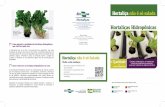 Hortaliça não é só salada - Embrapaainfo.cnptia.embrapa.br/digital/bitstream/item/205129/1/...A hidroponia, assim como o cultivo convencional e o orgânico, pode ser conduzida