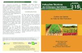 Instruções Técnicas Dezembro de 2013 ISSN 1809-0001 ...€¦ · do passivo ambiental da atividade agrícola, maior sustentabilidade da produção aliada à A elevada produtividade,