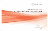 Sistemas de Informações Gerenciais · 2018-11-30 · 11 e-Tec Brasil Apresentação da disciplina Ao longo da disciplina de Sistemas de Informações Gerenciais apresentamos os