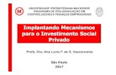 Implantando Mecanismos para o Investimento Social Privado · Implantando Mecanismos para o Investimento Social Privado Profa. Dra. Ana Lucia F. de S. Vasconcelos São Paulo 2017.