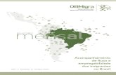Acompanhamento de fluxo e empregabilidade dos imigrantes · de fluxo e empregabilidade dos imigrantes no Brasil. RELATÓRIO MENSAL DO OBMIGRA | MARÇO 2020 | 6 Lista de tabelas CGIL