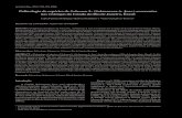 Palinologia de espécies de Solanum L. (Solanaceae A. Juss ... · Acta bot. bras. 22(3): 782-793. 2008. Palinologia de espécies de Solanum L. (Solanaceae A. Juss.) ocorr entes nas
