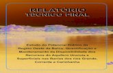 aiba.org.braiba.org.br/wp-content/uploads/2020/02/Relatório...Resumo Executivo 1 RELATÓRIO TÉCNICO FINAL Estudo do Potencial Hídrico da Região Oeste da Bahia: Quantificação