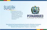 Secretaria de Desenvolvimento Social e Direitos Humanosportalsocial.sedsdh.pe.gov.br/sigas/suasrh/arquivos/2013/... · 2014-05-20 · mínimo do PETI 1.000,00 + mínimo do SCFV 0