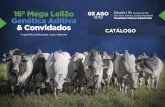 REGULAMENTO - Amazon Web Servicesremateweb.s3.amazonaws.com/leilao-downloads/1229/16-mega...- O leilão será realizado no dia 03 de agosto de 2019, as 1h00min (Brasília), no Terra