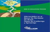 Microcrédito en el Banco Do Nordeste Do Brasil: Casos de ... · generaría oportunidades de desarrollo a estos microemprendedores y pequeñas empresas. En este documento se resalta