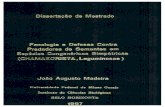 Universidade Federal de Minas Geraispos.icb.ufmg.br/pgecologia/dissertacoes/D54_Joao... · estrutura fornecida pelo Curso e em especial o apoio da Rogéria, da Sônia e a simplicidade