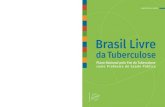 Brasil Livre da Tuberculose : Plano Nacional pelo Fim da ...€¦ · mundial esteja infectada pelo bacilo Koch. As regiões da África e da Ásia são as que apresentam maior risco