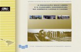 Copyright 2004 PNUMA€¦ · informação sobre produção e consumo sustentáveis no Panamá, Venezuela, Argentina e Cuba (2), a realização de oficinas de formação sobre produção