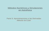 Métodos Numéricos y Simulaciones en Astrofísica - freeshell.dergh/arch/pg2/met-simu-5.pdf · 2013-03-24 · 100 60 Método de Euler para problemas de valor inicial Consideremos