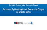 Panorama Epidemiológico da Doença de Chagas no Brasil e Bahia§a-de-Chagas-no-Brasil-e-Ba… · GT –CHAGAS / CODTV / DIVEP /SUVISA/ SESAB Tel/Fax: (71) 3116-0058 - E-mail: divep.chagas@saude.ba.gov.br