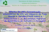 Efeitos da Alta Concentração Atmosférica de CO2 …Emerson Alves da Silva Proc. 12/08875-3 Secretaria do Meio Ambiente Instituto de Botânica Instituto de Botânica Núcleo de Pesquisa