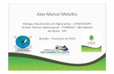 Alex Marcel Melotto · 5. Interação entre a densidade de duas espécies arbóreas em sistemas silvipastoris e o desenvolvimento de gramínea forrageira, propriedades do solo, microclima