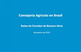 Consejeria Agrícola en Brasil - Argentina.gob.ar · La campaña 2011/12 marca el momento en que el maiz de segunda (safrinha), assume el protagonismo como la principal cosecha de