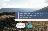 PROTEGENDO A FONTE DE “OURO BRANCO” DO LESOTO · 2018-09-27 · 1 Protegendo a Fonte de “Ouro Branco” do Lesoto. No coração do Reino Montanhoso de Lesoto estão as terras